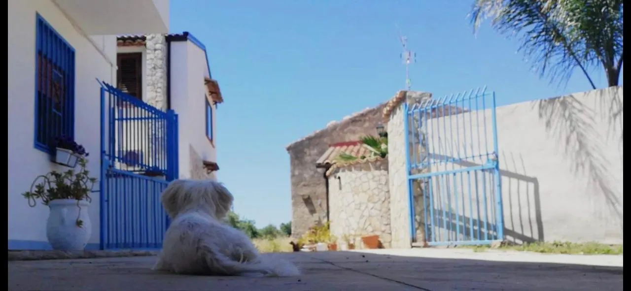 Villa Priscilla Cinisi Holiday home